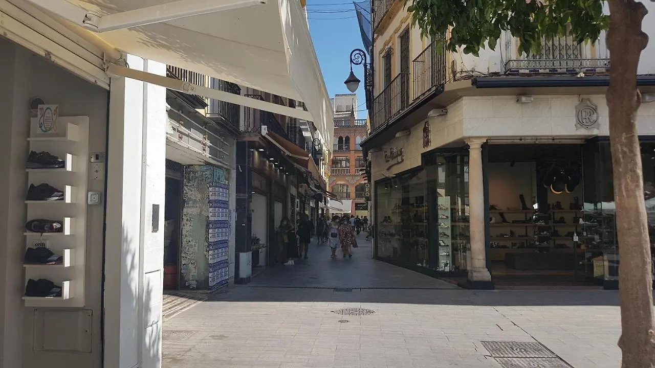 LOFT NUEVO Y CON ENCANTO a TRES MNT CATEDRAL AA WIFI Apartamento Sevilla