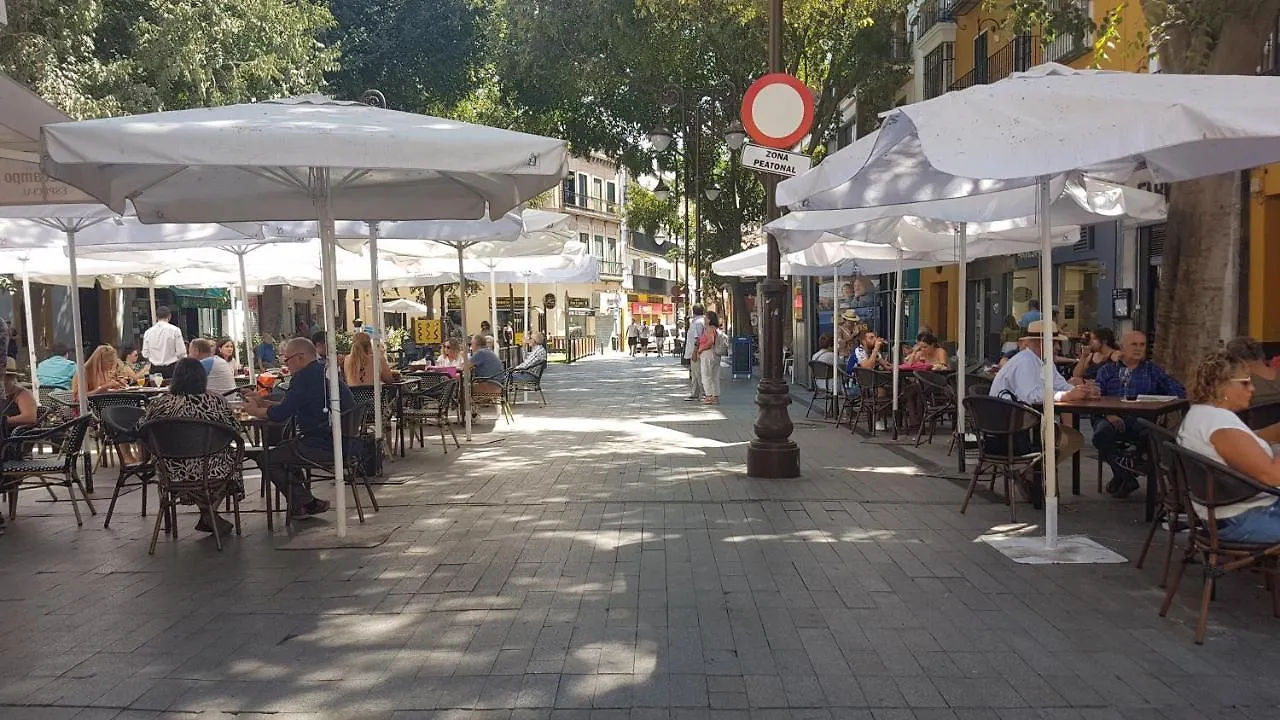 LOFT NUEVO Y CON ENCANTO a TRES MNT CATEDRAL AA WIFI Apartamento Sevilla