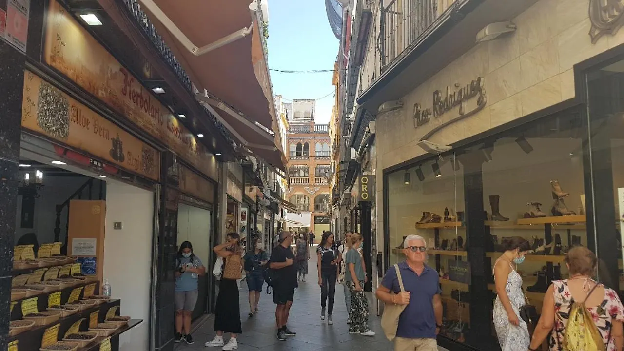 LOFT NUEVO Y CON ENCANTO a TRES MNT CATEDRAL AA WIFI Apartamento Sevilla