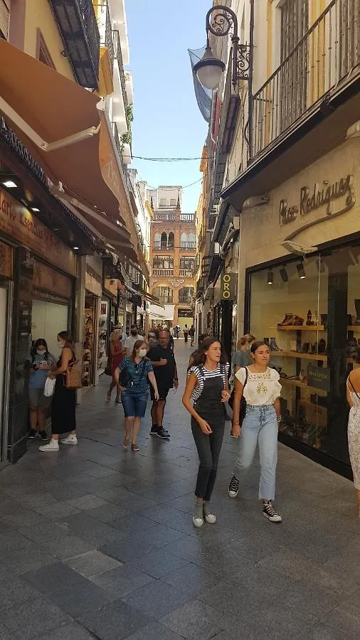 LOFT NUEVO Y CON ENCANTO a TRES MNT CATEDRAL AA WIFI Apartamento Sevilla
